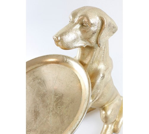 Złoty pies z taca