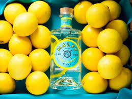 Malfy Gin Con Limone